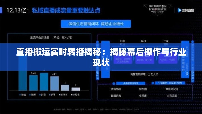 直播搬運實時轉(zhuǎn)播揭秘:揭秘幕后操作與行業(yè)現(xiàn)狀