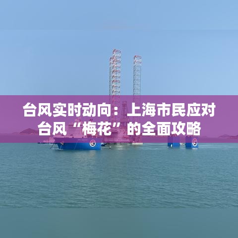 臺(tái)風(fēng)實(shí)時(shí)動(dòng)向：上海市民應(yīng)對(duì)臺(tái)風(fēng)“梅花”的全面攻略