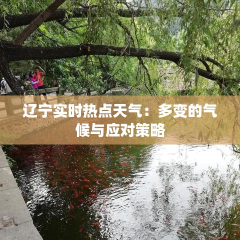 遼寧實(shí)時(shí)熱點(diǎn)天氣：多變的氣候與應(yīng)對(duì)策略
