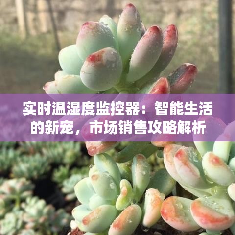 實(shí)時(shí)溫濕度監(jiān)控器：智能生活的新寵，市場(chǎng)銷售攻略解析