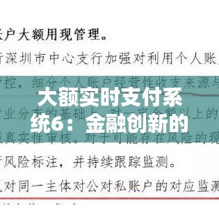 大額實(shí)時(shí)支付系統(tǒng)6：金融創(chuàng)新的未來趨勢(shì)