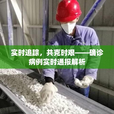 實(shí)時追蹤，共克時艱——確診病例實(shí)時通報解析