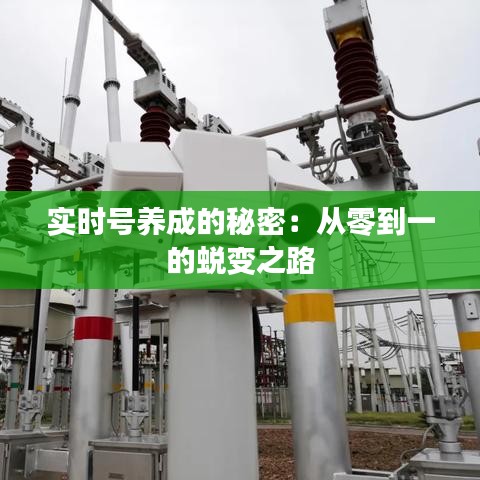 實時號養(yǎng)成的秘密：從零到一的蛻變之路