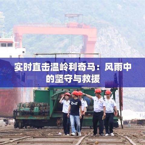 實(shí)時(shí)直擊溫嶺利奇馬：風(fēng)雨中的堅(jiān)守與救援