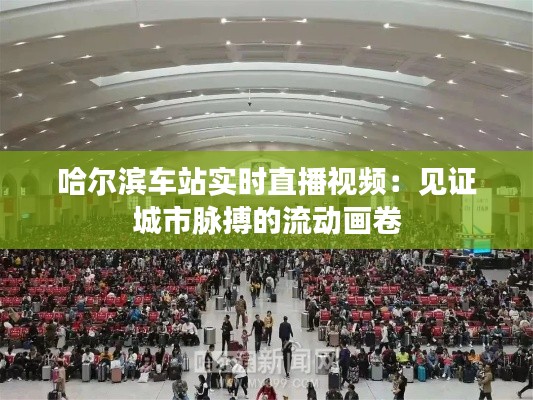 哈爾濱車站實時直播視頻：見證城市脈搏的流動畫卷