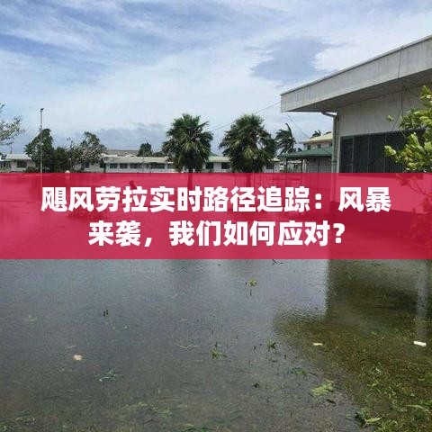 颶風(fēng)勞拉實(shí)時路徑追蹤：風(fēng)暴來襲，我們?nèi)绾螒?yīng)對？