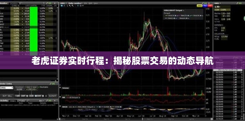 老虎證券實時行程：揭秘股票交易的動態(tài)導航