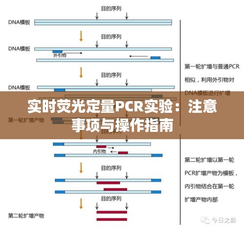 實時熒光定量PCR實驗：注意事項與操作指南