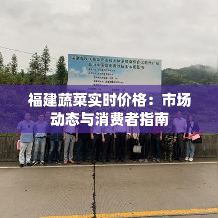 福建蔬菜實時價格：市場動態(tài)與消費(fèi)者指南
