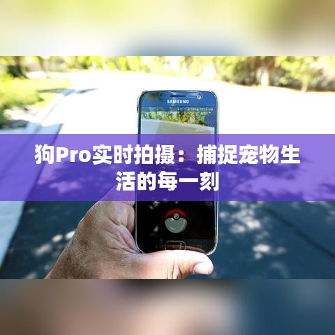 狗Pro實(shí)時(shí)拍攝：捕捉寵物生活的每一刻