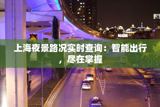 上海夜景路況實時查詢：智能出行，盡在掌握
