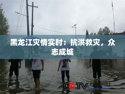 黑龍江災(zāi)情實時：抗洪救災(zāi)，眾志成城