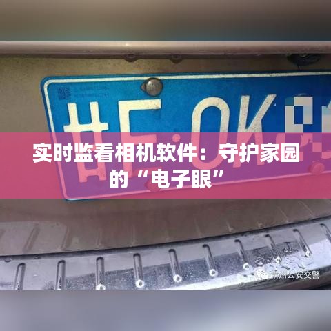 實時監(jiān)看相機軟件：守護家園的“電子眼”
