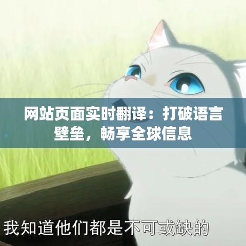 網(wǎng)站頁(yè)面實(shí)時(shí)翻譯：打破語(yǔ)言壁壘，暢享全球信息