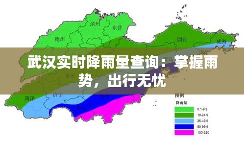 武漢實時降雨量查詢：掌握雨勢，出行無憂