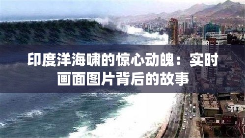 印度洋海嘯的驚心動(dòng)魄：實(shí)時(shí)畫面圖片背后的故事