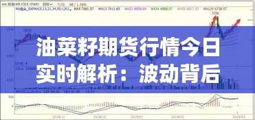 油菜籽期貨行情今日實(shí)時(shí)解析：波動(dòng)背后的市場邏輯