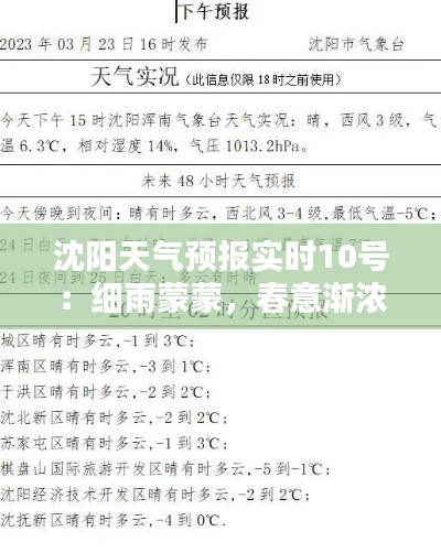 沈陽天氣預(yù)報實時10號：細(xì)雨蒙蒙，春意漸濃