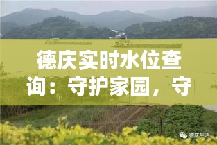 德慶實時水位查詢：守護家園，守護安全