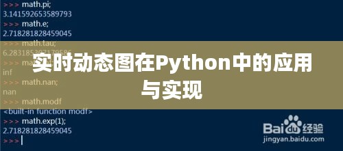 實(shí)時(shí)動(dòng)態(tài)圖在Python中的應(yīng)用與實(shí)現(xiàn)