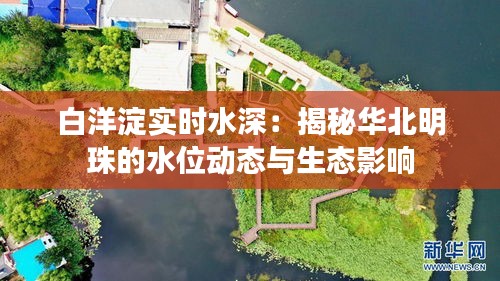 白洋淀實時水深：揭秘華北明珠的水位動態(tài)與生態(tài)影響