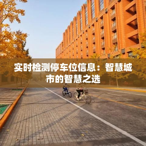 實時檢測停車位信息：智慧城市的智慧之選