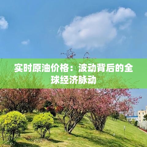 實時原油價格：波動背后的全球經濟脈動