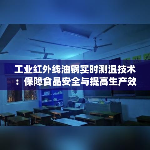 工業(yè)紅外線油鍋實時測溫技術(shù)：保障食品安全與提高生產(chǎn)效率