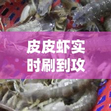 皮皮蝦實時刷到攻略：輕松掌握熱門動態(tài)