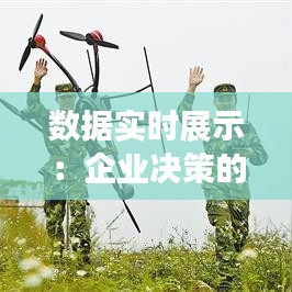 數(shù)據(jù)實時展示：企業(yè)決策的“千里眼”與“順風耳”