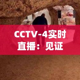 CCTV-4實(shí)時直播：見證多元文化的國際窗口