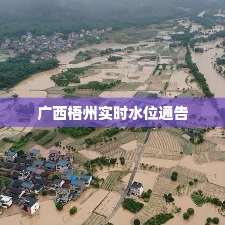 廣西梧州實時水位通告