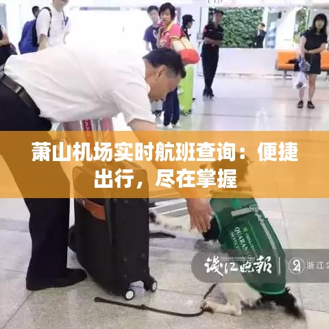 蕭山機場實時航班查詢：便捷出行，盡在掌握