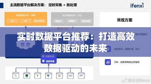 實(shí)時(shí)數(shù)據(jù)平臺(tái)推薦：打造高效數(shù)據(jù)驅(qū)動(dòng)的未來