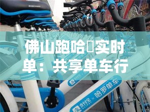 佛山跑哈啰實時單：共享單車行業(yè)的創(chuàng)新與挑戰(zhàn)