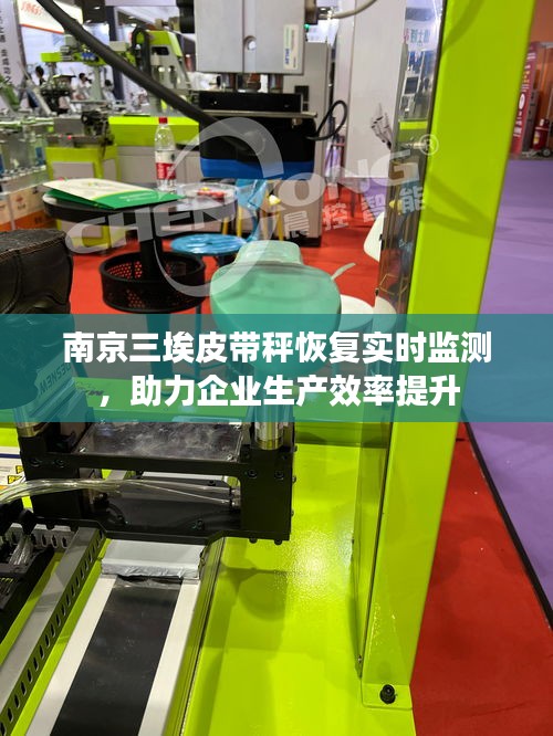 南京三埃皮帶秤恢復(fù)實時監(jiān)測，助力企業(yè)生產(chǎn)效率提升