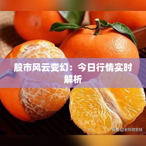 股市風(fēng)云變幻：今日行情實(shí)時(shí)解析