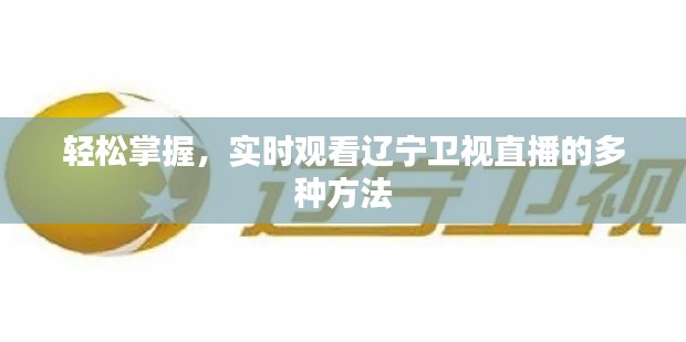 輕松掌握，實(shí)時觀看遼寧衛(wèi)視直播的多種方法