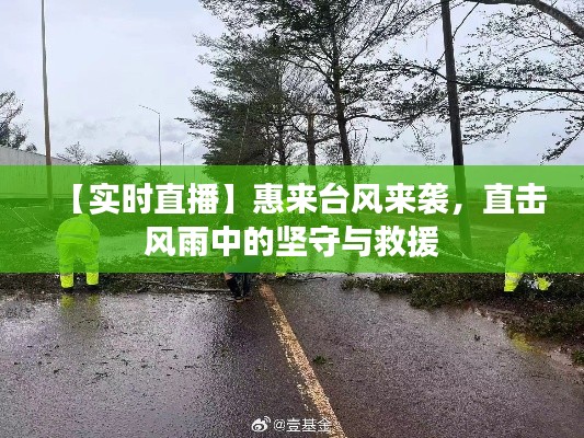 【實時直播】惠來臺風來襲，直擊風雨中的堅守與救援