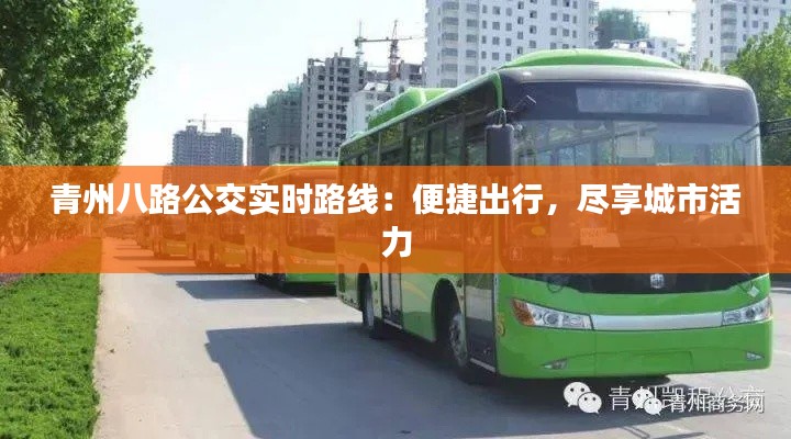 青州八路公交實(shí)時(shí)路線：便捷出行，盡享城市活力