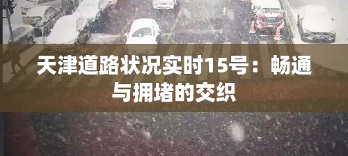 天津道路狀況實(shí)時(shí)15號(hào)：暢通與擁堵的交織