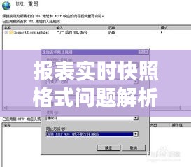 報表實時快照格式問題解析與解決方案