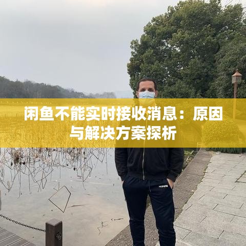 閑魚不能實時接收消息：原因與解決方案探析