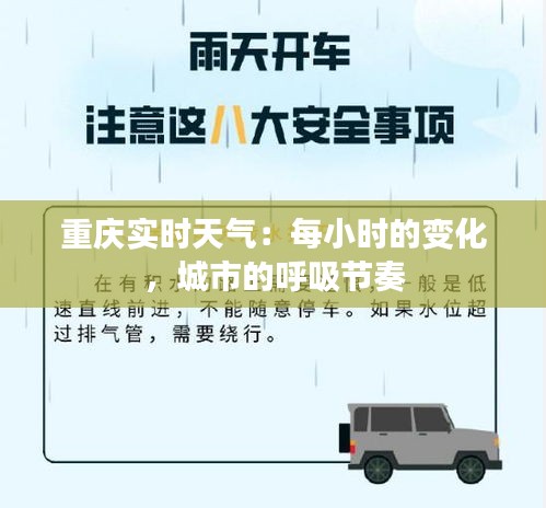 重慶實(shí)時天氣：每小時的變化，城市的呼吸節(jié)奏