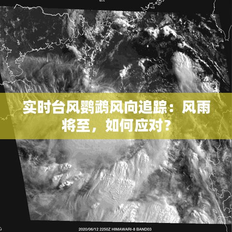 實時臺風(fēng)鸚鵡風(fēng)向追蹤：風(fēng)雨將至，如何應(yīng)對？