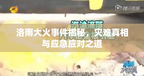 洛南大火事件揭秘，災(zāi)難真相與應(yīng)急應(yīng)對之道