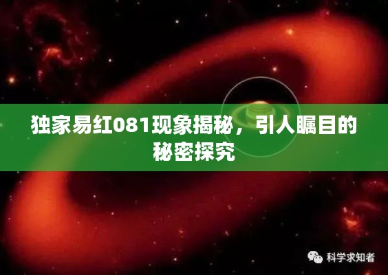 獨家易紅081現(xiàn)象揭秘，引人矚目的秘密探究