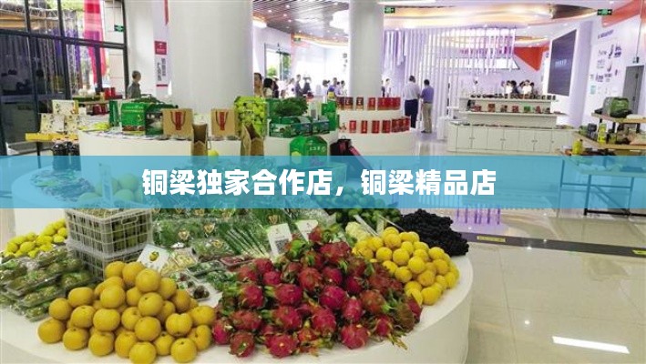 銅梁獨家合作店，銅梁精品店 
