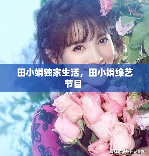 田小娟獨家生活，田小娟綜藝節(jié)目 