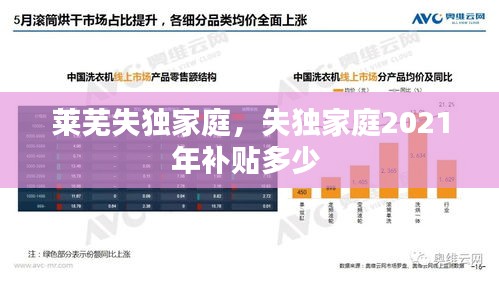 萊蕪失獨家庭，失獨家庭2021年補貼多少 
